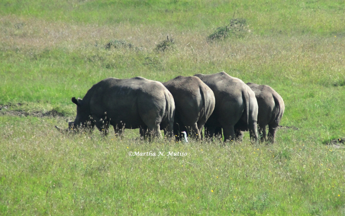 We are where we belong, this planet is our home.
