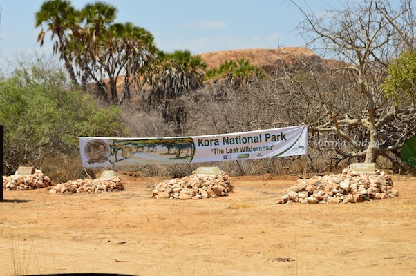 George Adamson's burial place inside the Kora National Park; He's buried beside his brother Terrence and Supercub, (Terrence's favourite lion) and his own favourite, Boy.