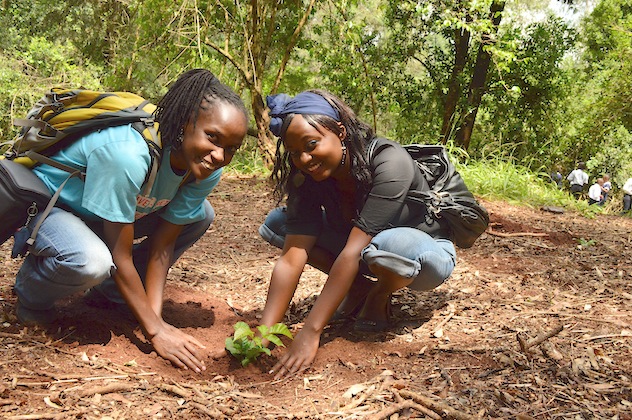 Restoring mother nature, one tree at a time