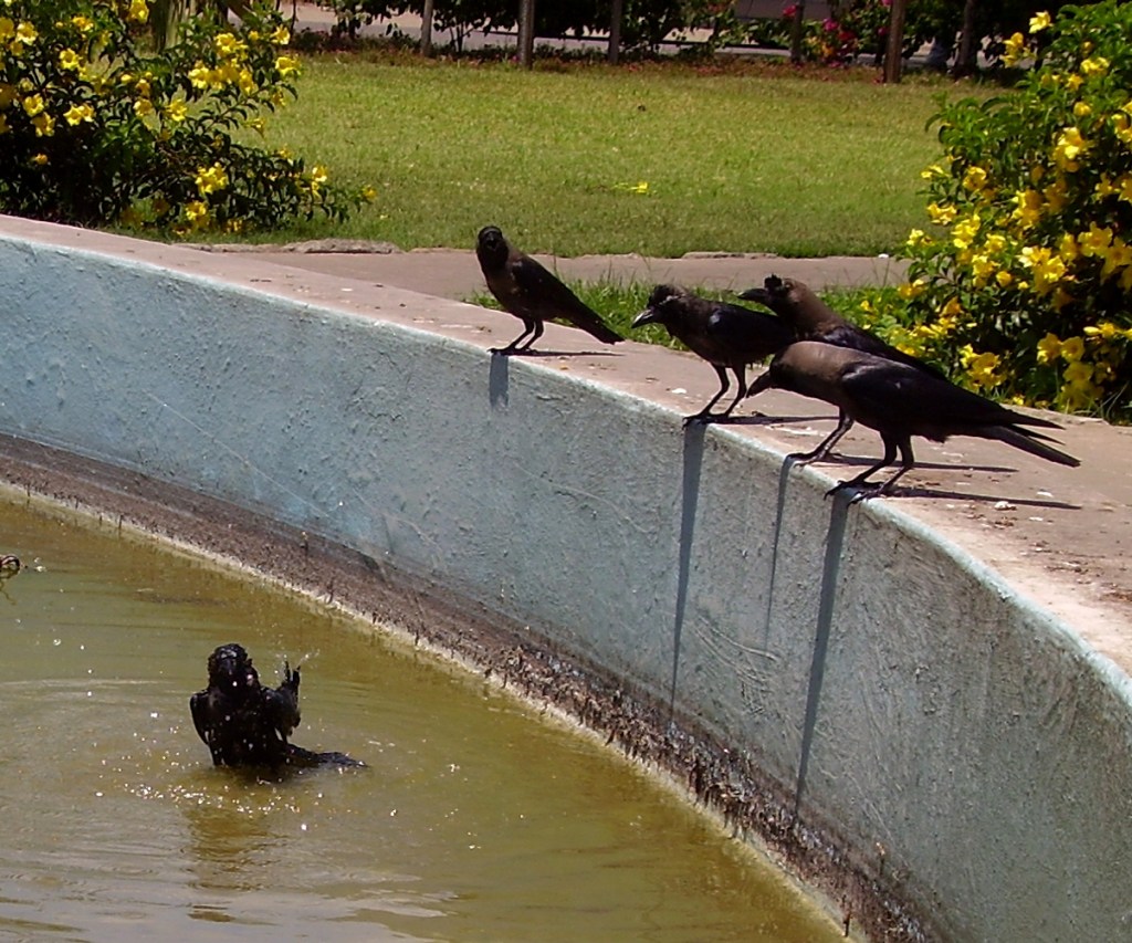 They look on as they each wait for their turn