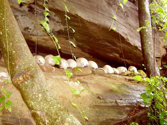 Ngomenyi Caves-Taita Hills