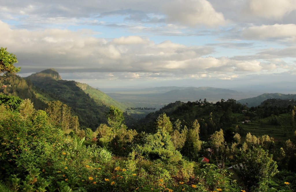 View from Yale Hill, Taita
