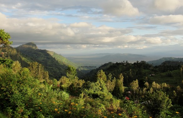 View from Yale Hill, Taita